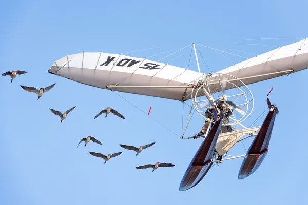 Nicolas Vanier’s Spread Your Wings (Donne-Moi Des Ailes) and Rabah Ameur-Zaïmeche’s South Terminal (Terminal Sud) screenings cancelled