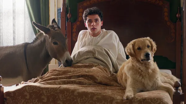 The Tree Of Knowledge