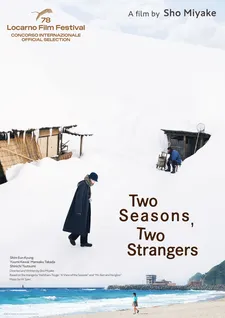 Two Seasons, Two Strangers poster