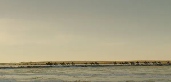 The Ride 6