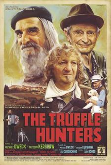 The Truffle Hunters. Michael Dweck: 'We started to see Titian, Raphael, Caravaggio, a lot of these were using single light sources, and the very painterly patterns that came from the texture of the stucco walls. And that was how the influence began'
