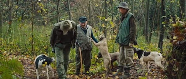 The Truffle Hunters might just dig up a prize