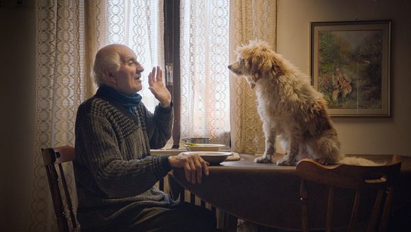 Truffle hunter Aurelio and his dog Birba. Gregory Kershaw: 'It was about taking our time and setting it up and finding the right place to film, where they would be comfortable just sitting or standing for a long period of time'