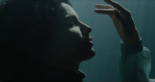 The Cow Who Sang A Song Into The Future