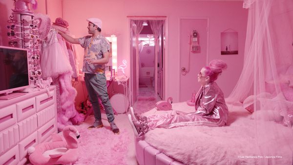 The Mystery Of The Pink Flamingo (2020) Movie Review from Eye for Film