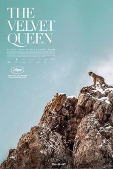 The Velvet Queen screens at Film Forum in New York