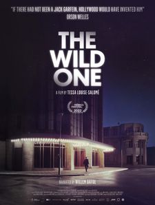 The Wild One poster
