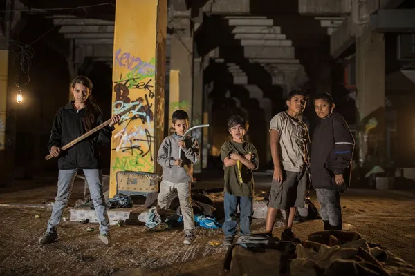 Tigers Are Not Afraid