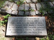 Tulip Poplar in memory of Sam Shepard at St. Mark’s Church in-the-Bowery