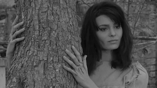 Woodlands Dark And Days Bewitched: A History Of Folk Horror