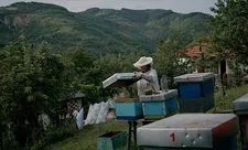 Yllka Gashi on working with the bees: “When we rehearsed the scenes before we started shooting, I was amazed by how they protect the queen bee and everything.”