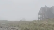 The beach house