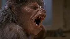 The transformation scene in An American Werewolf In London