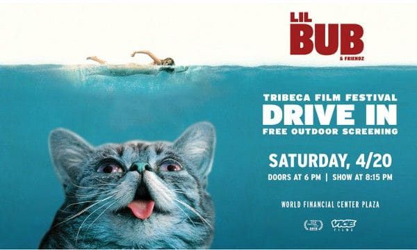 Lil Bub & Friendz will screen at the Tribeca Drive-In