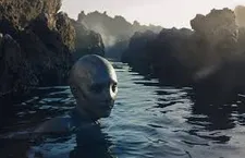 At home in the water