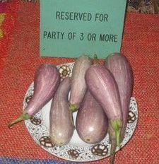 Eggplants for three ratatouilles
