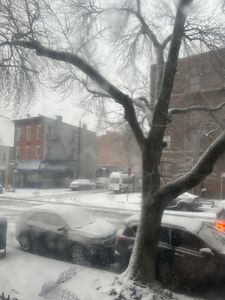 Snow storm in NYC on February 13, 2024