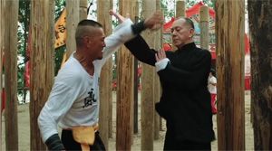 Ip Man: The Final Fight