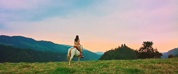 Luz: The Flower Of Evil