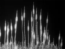 Stuart A Staples: "It's about the footage itself and that makes it very different to other archive projects I've seen in that way"