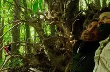 Hiding from the enemy