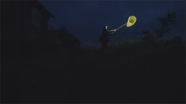 The Illusion Of A Quiet Night