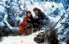 The Company Of Wolves