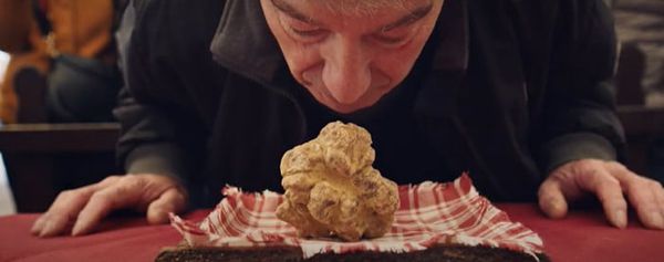 Gregory Kershaw on the Alba white truffle: 'It's really impossible to describe, I guess our film was an attempt to describe what a truffle smells like'