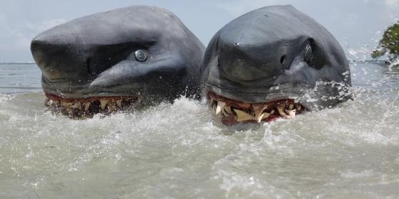 Image result for 2-headed shark attack