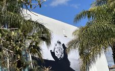 The face of this year’s Cannes Film Festival: Catherine Deneuve adorns the front of the Palais des Festivals