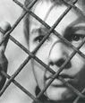 The 400 Blows