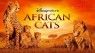 African Cats packshot