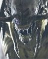 Aliens Vs Predator - Requiem