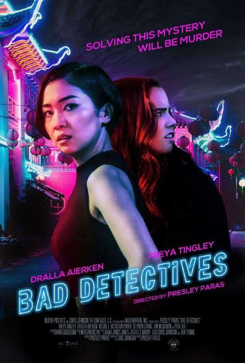 Bad Detectives packshot