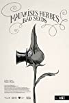 Bad Seeds packshot