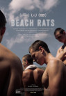 Beach Rats packshot
