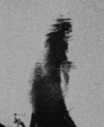 Begotten