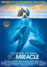 Big Miracle packshot