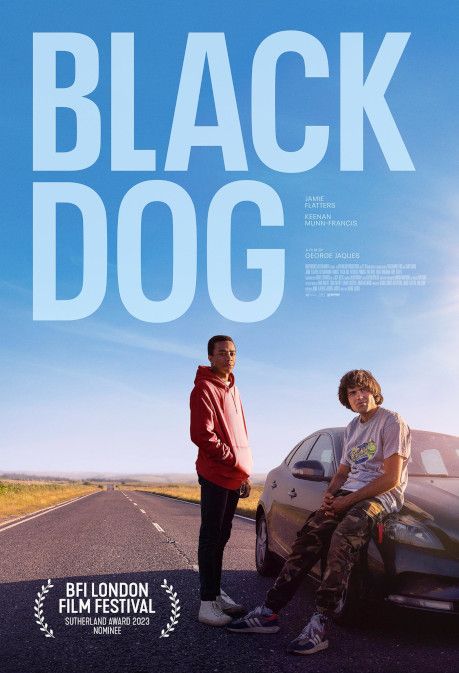 Black Dog packshot