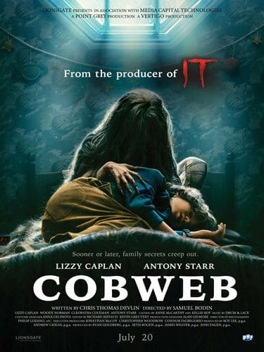 Cobweb packshot