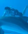 Dolphin Tale