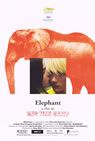 Elephant packshot