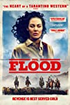 The Flood packshot