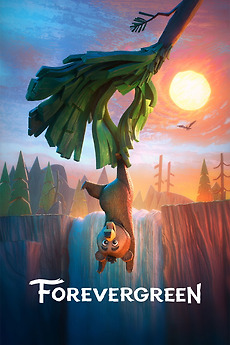 Forevergreen packshot