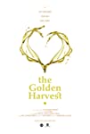 The Golden Harvest packshot