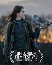 H Is For Hawk packshot