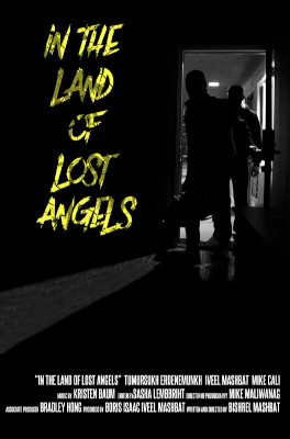 In The Land Of Lost Angels packshot