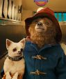 Paddington 2