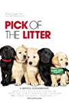 Pick Of The Litter packshot