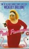 Pink Flamingos packshot